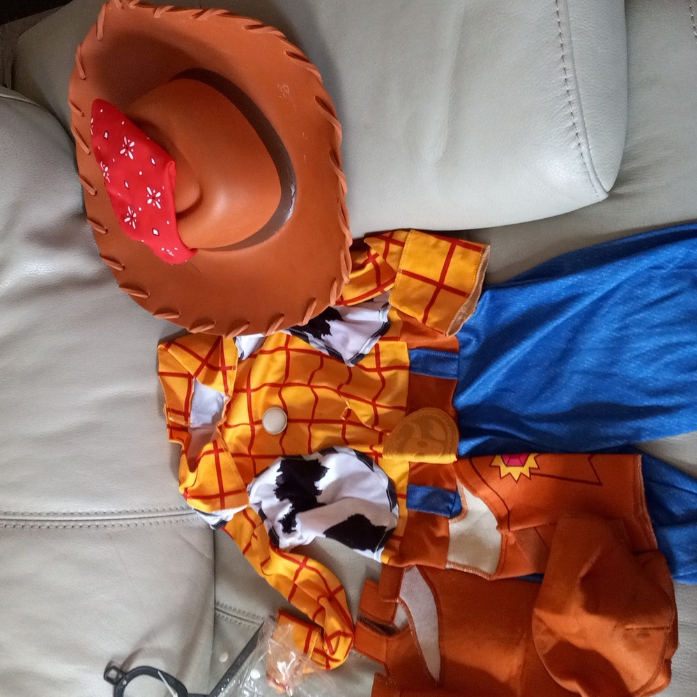 Sheriff woody from toy story costume 2t